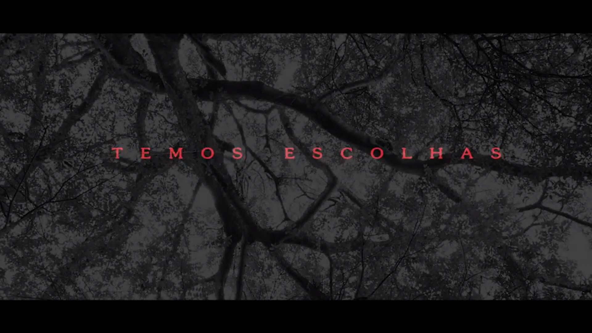 Assista ‘Temos Escolhas’, clipe do grupo Causo Beats com a banda Matudarí