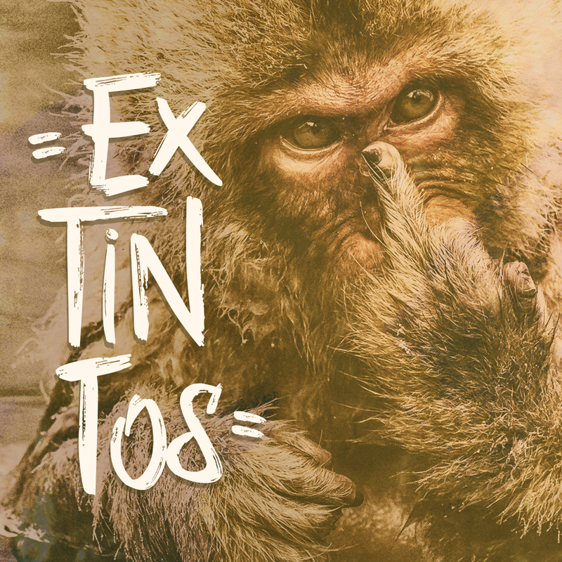 Anonimono & Percepção Ativa lançam single “Extintos”