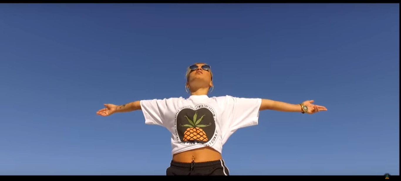 Projeto Perfil Pineapple apresenta Nabrisa com o clipe “Passarin”