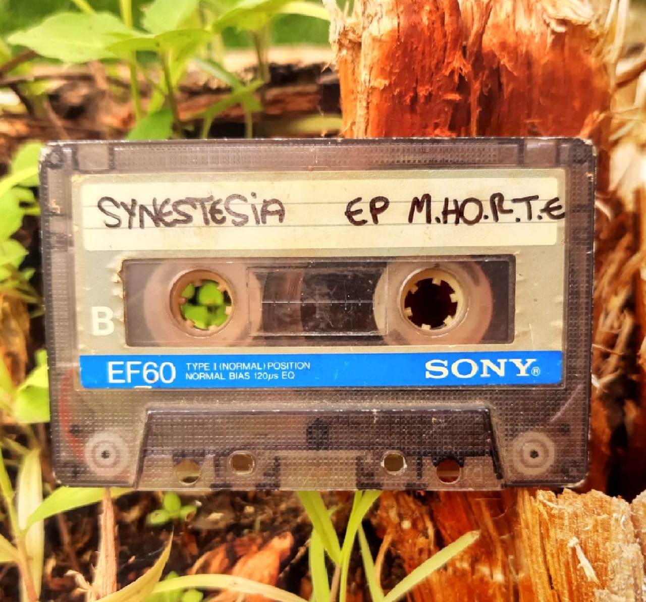 Synestesia reflete sobre a M.HO.R.T.E. em novo EP